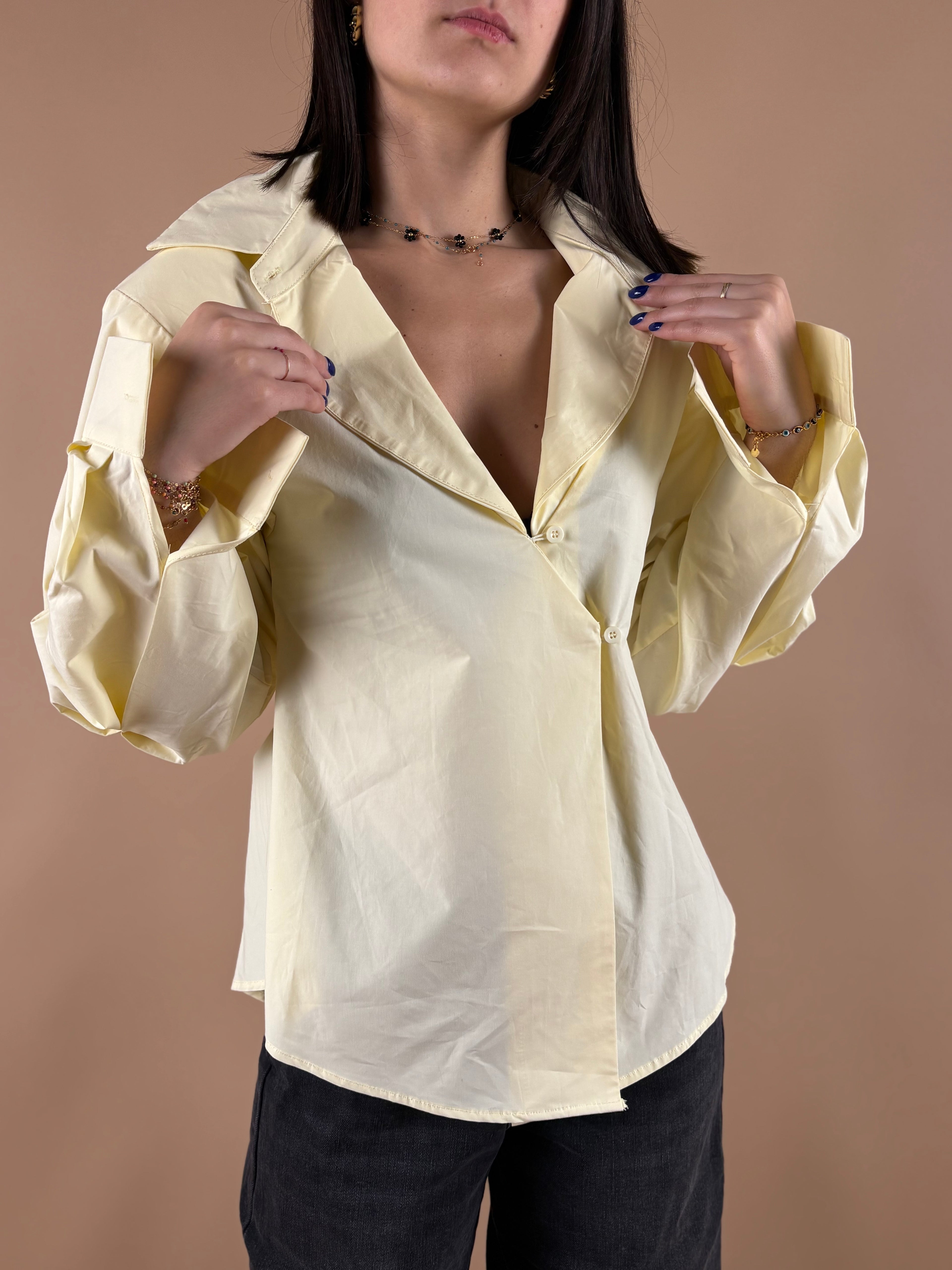 Chemise cintrée 